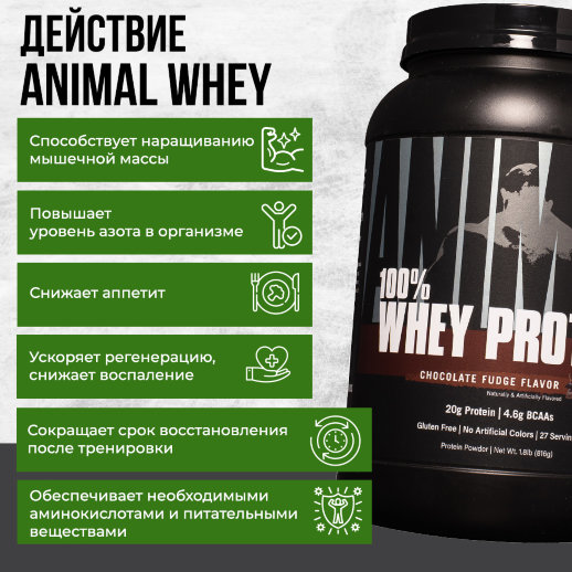 Animal / Сывороточный протеин Animal 100% Whey, 816 г, со вкусом Шоколад